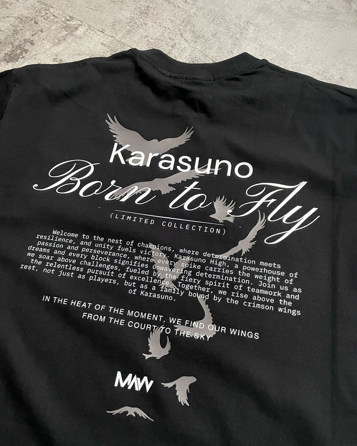 Camiseta Oversize Boxy Born to Fly