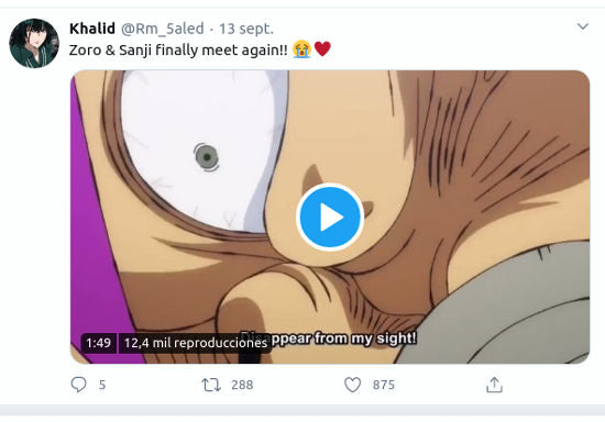 Zoro y Sanji en el anime de One Piece