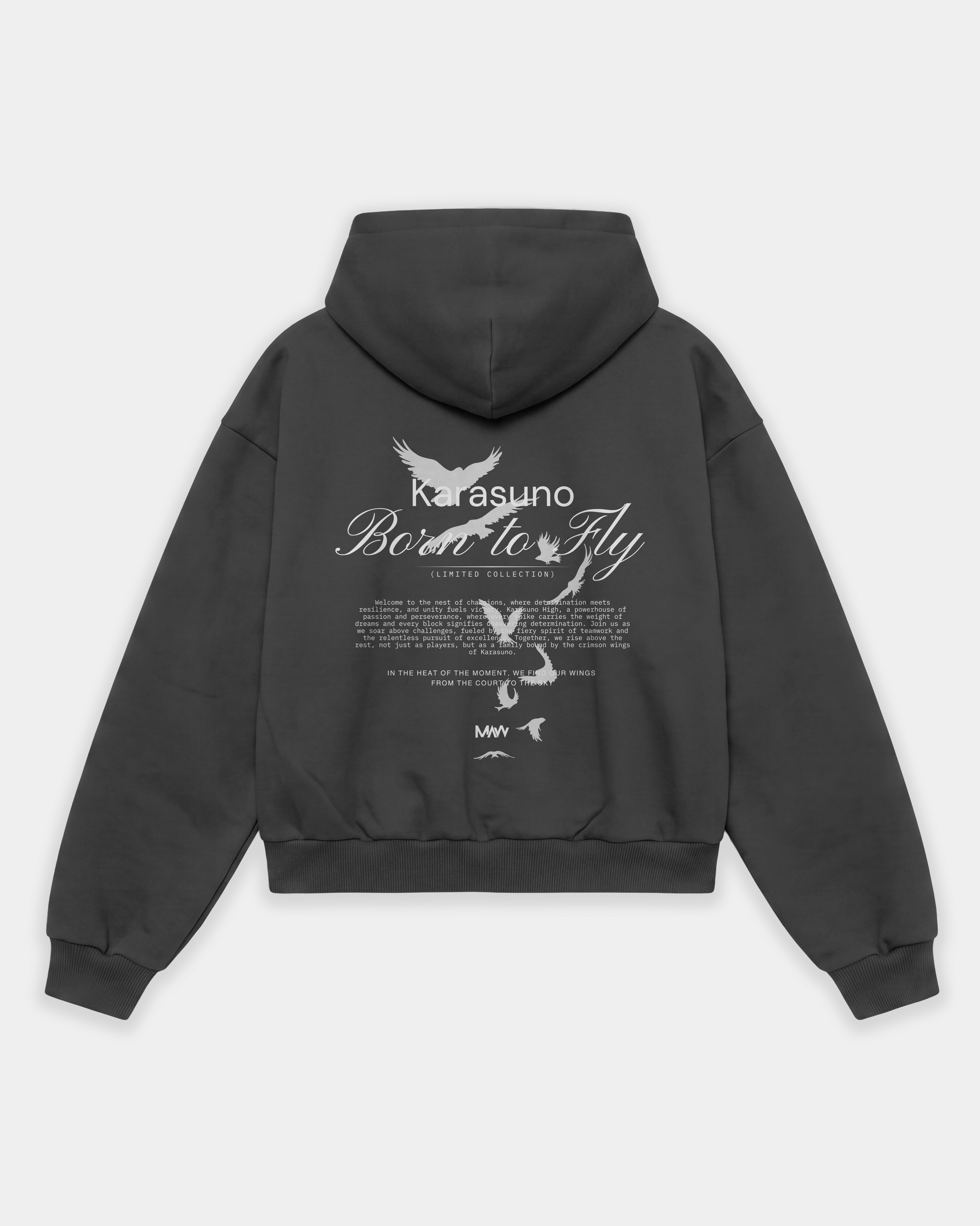 Sudadera Oversize Born To Fly