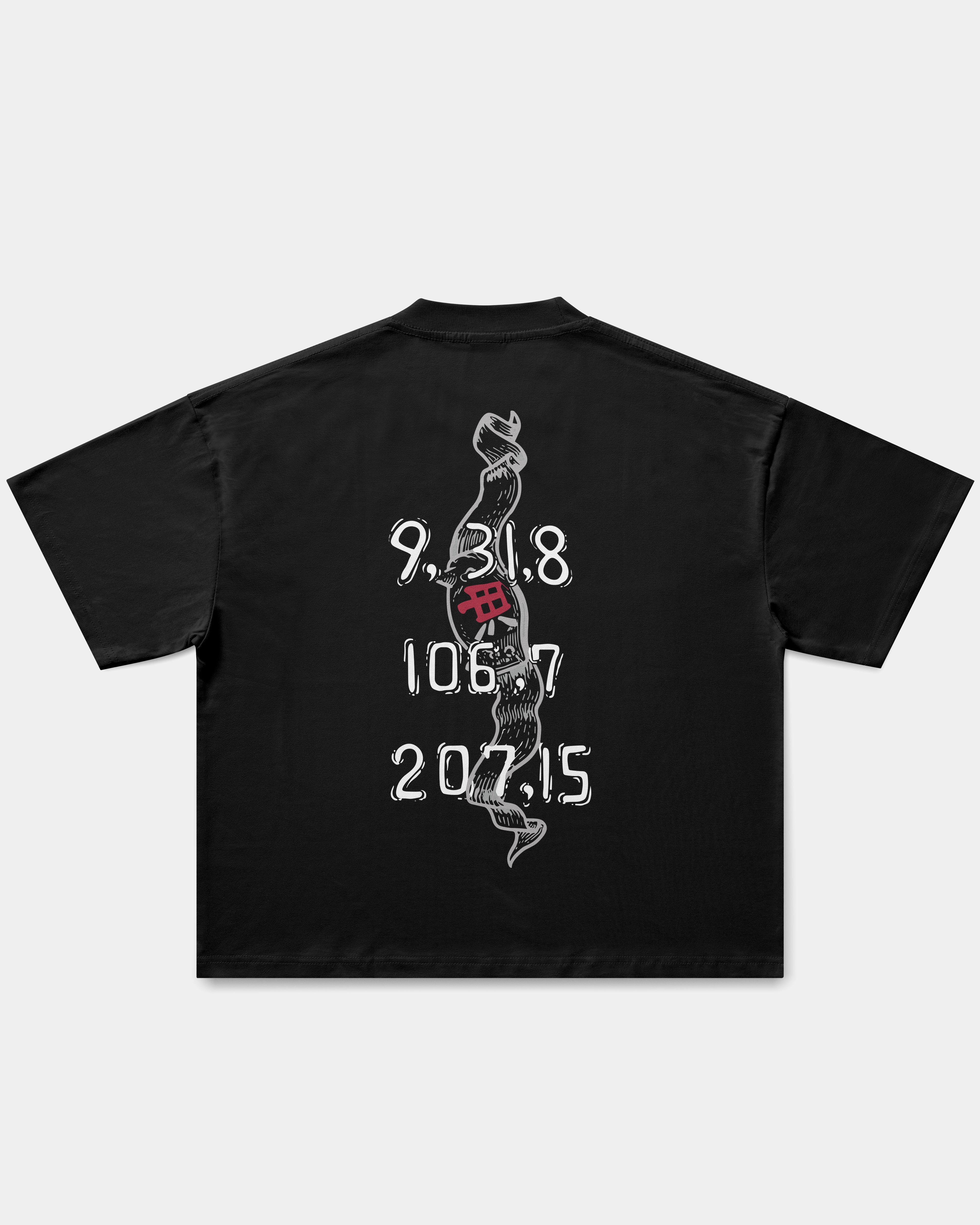 Camiseta Oversize Boxy Last Message