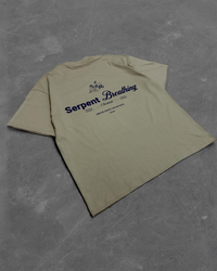 Camiseta Oversize Serpent Breathing