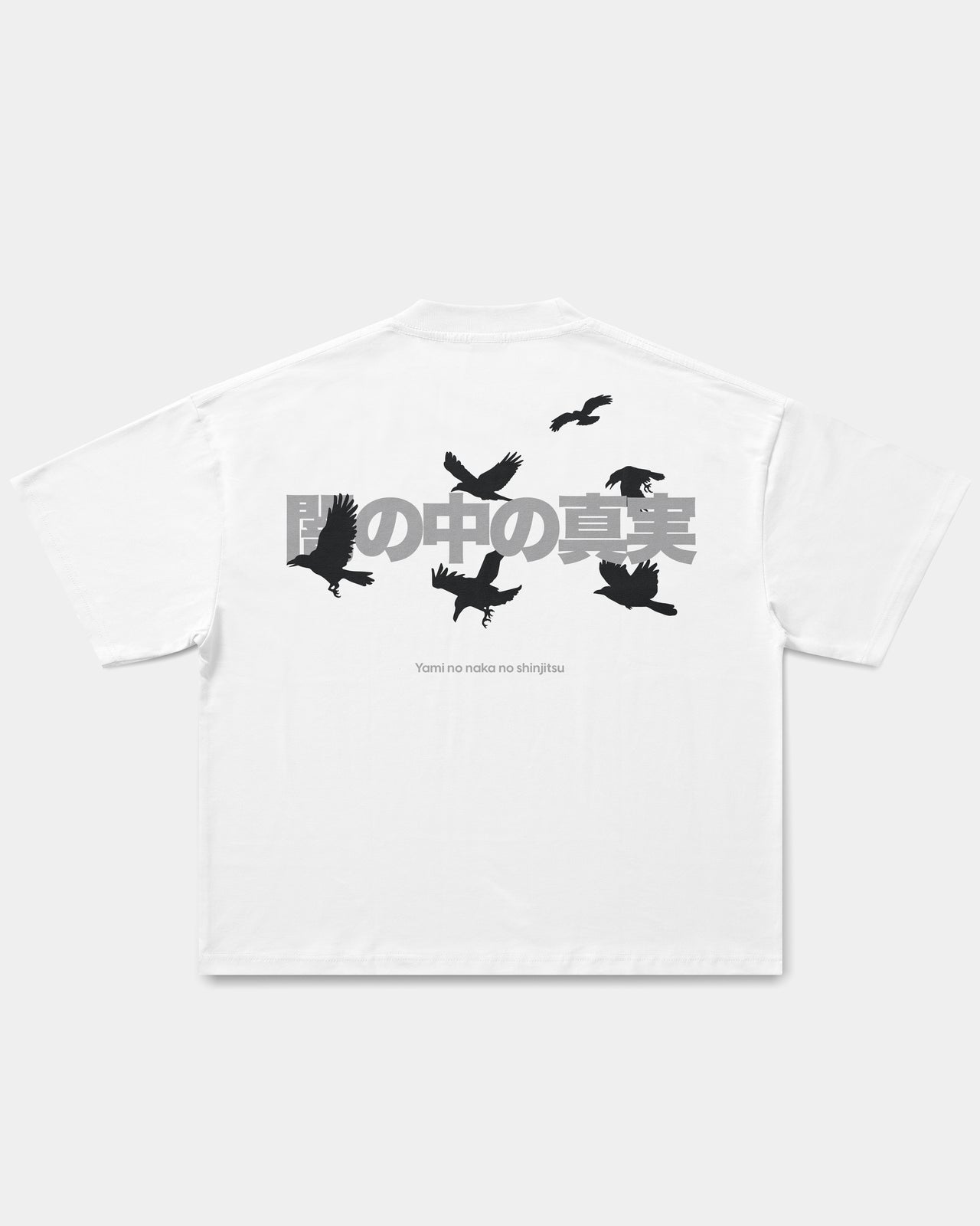 Camiseta Truth Behind